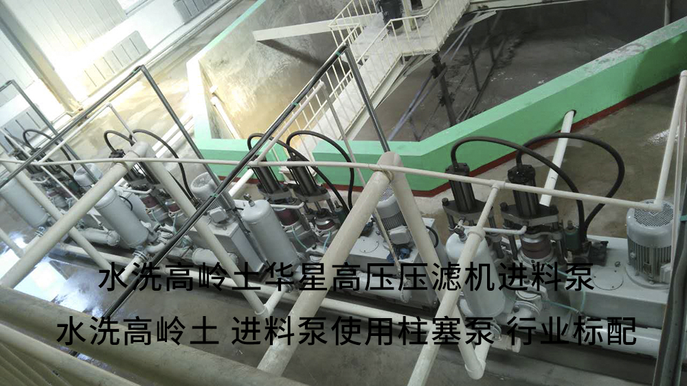 水洗高嶺土高壓壓濾機進料泵3